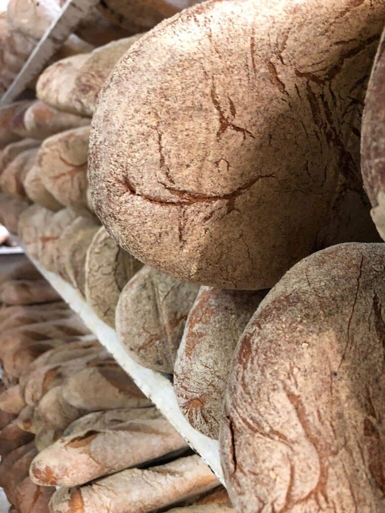 Pane Genzano Casareccio